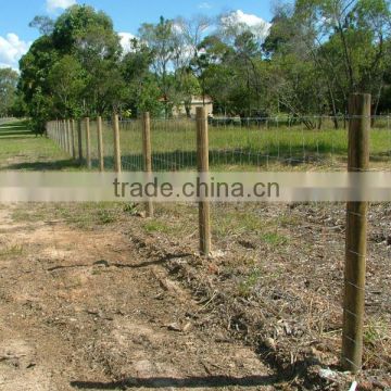 Galvanised Hinged Joint wire fencing (manufacturer)