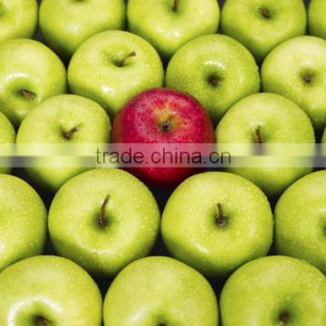 Grade AAAA GOLDEN , FUJI and GALA Apples