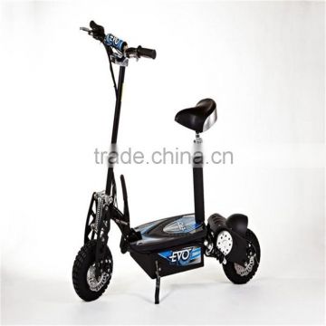 electric motor controller 1600W/evo scooter/2 wheel electric scooter