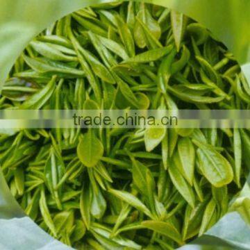 AG Organic Green Tea Extract Powder