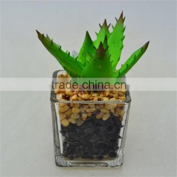 New Product Unique Artificial Plant with Little Glass pot