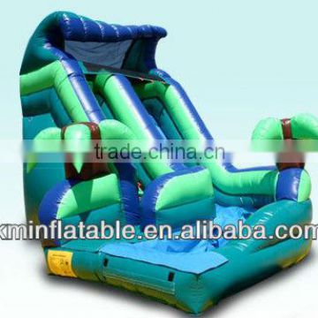 pirate inflatable water slide with pool