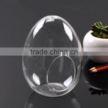 Micro landscape ecological Egg shape Meaty plant glass vase DIY glass moss