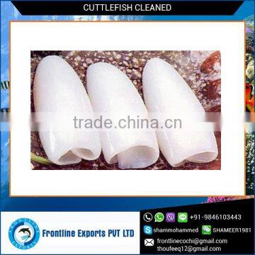 Biggest Exporter of Frozen Cuttlefish Cleaned at Best Price