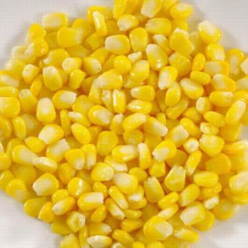 Quality Quality Canned Sweet Corn Natural Fresh Sweet Corn Food Prices