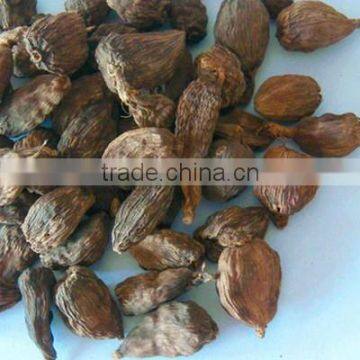 Burma Black Cardamom