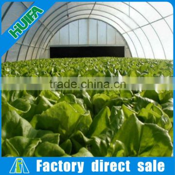 vegetable fruit single span greenhouse with roll up device for ventilation