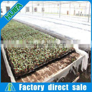 Greenhouse seedbed for growing plants