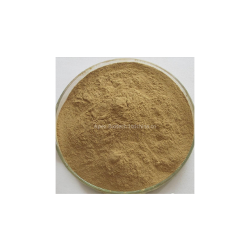 Chinese manufacturer Radix Rehmanniae Extract supply directly