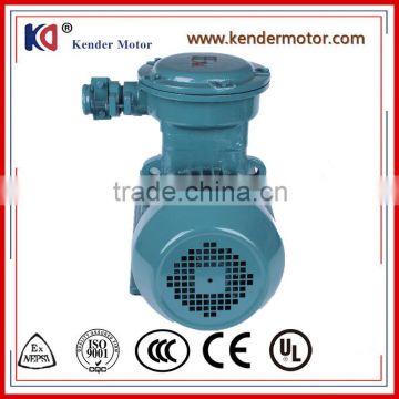 Professional 30Kw Explosion Proof Ac Motor With High Quality