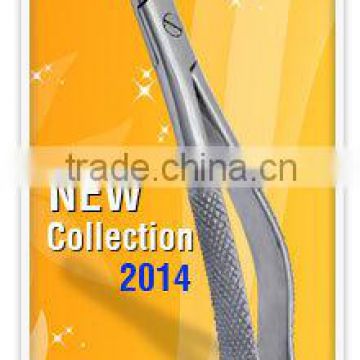New Arrival Dental Extracting Forceps, Dental instruments
