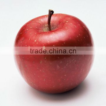 Decorative fake apple model | Artificial fruits 3D fridge magnet | Yiwu Sanqi Crafts - Fake food manufacturer in China