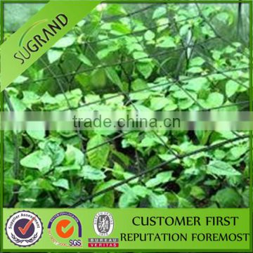 Low price greenhouse plant support net 100% virgin PP or PE