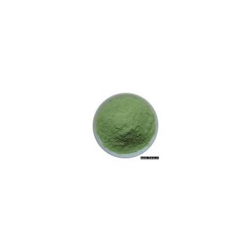 Sell Dehydrated Spinach Powder / Leaves