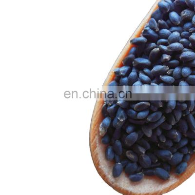Best price organic basil seeds/dried chia seeds/Bulk black organic basil seeds from Vietnam