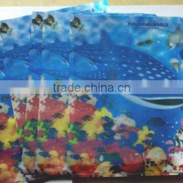 a4 fc size plastic 3d fancy file folders