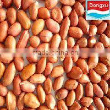 small red skin peanut kernels 50/60