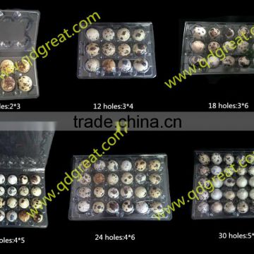 China supplier Manufacture clear disposable blister plastic quail eggs tray 24 holes slots