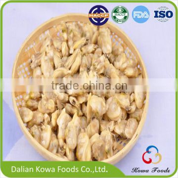 Frozen Yellow Baby Clam Meat Boiled