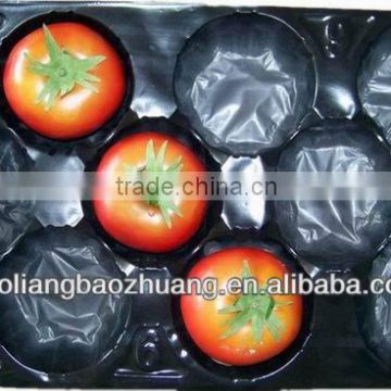 5LB/10LB/15LB Cherry Tomato Packaging Trays