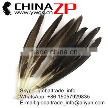 ZPDECOR Wholesale Size from 20cm to 25cm Natural Grey Duck Quill Feathers