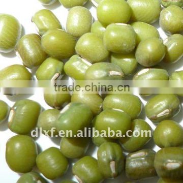 2011 crop good quality Green Mung beans