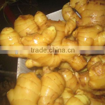 10kg pvc carton pack fresh china ginger