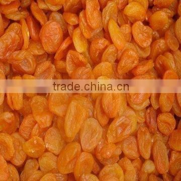 2015 new dried apricot be on the market