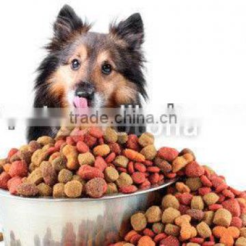 online store dog food
