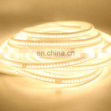 2020 Flexible 220V SMD 3038 144LEDs per meter light tape Christmas Light LED Strip