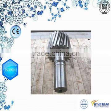 Changzhou machinery small stainless steel helical gear shaft