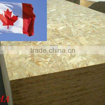 Best price and quality for Canada OSB