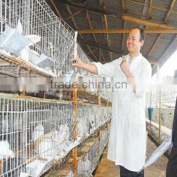 Cheap Outdoor Rabbit Cage Materials