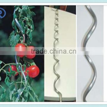galvanized tomato metal wire plant support