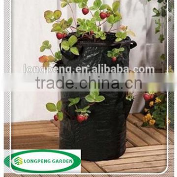 Plastic Pop Up Garden Strawberry Planter Bags With Holes