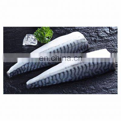 Good price IQF frozen clean mackerel fish fillet