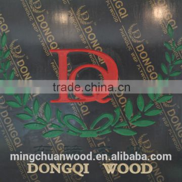 China hot film faced plywood