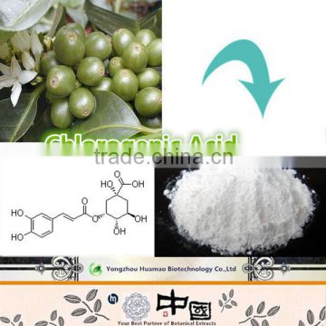Green coffee bean extract powder Chlorogenic acids