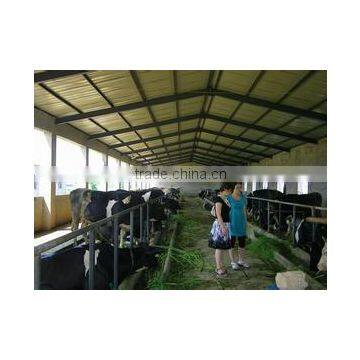 China Broiler poultry shed