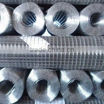 galvanized stainless steel welded wire mesh