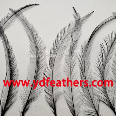 Burnt Rooster/Coque/Cock Tail Feather Dyed Black from China