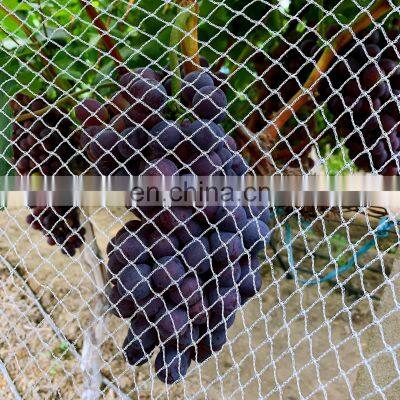 Orchard Protective Anti Bird Netting Wholesale Netting Agricultural Anti-bird Garden Home Bird Netting Agricultural