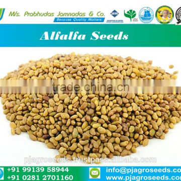 Sprouting and Zeo-Technical Use of Alfalfa Seeds
