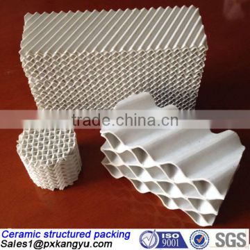 China supply ceramic structured tower packing