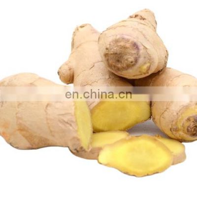 new nutritional supplements iqf frozen ginger slice different type cube dice slice of Chinese factory