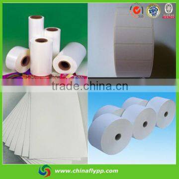 semi glossy pp paper Label jumboo Roll for label, factory price