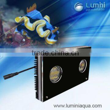 Chinese Lumini Pixie 130R3 sunrise and sunset led aquarium light