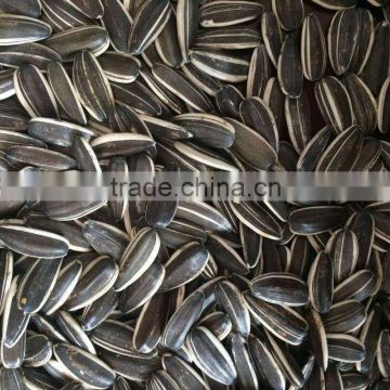 2015 2016 Chinese sunflower seed kernel 5009/0409/3638/363 fengkui type