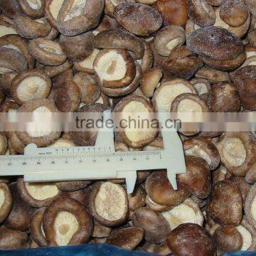 IQF Frozen Shiitake Mushroom Whole/Cuts/Slices