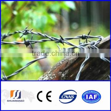 China supplier barbed wire
